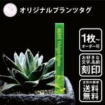 オリジナル蛍光プランツタグ　植物ネームプレート　園芸ラベル　ガーデニングラベル　植物タグ　蛍光