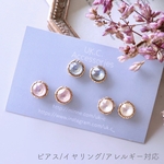 ピアス くすみスワロビジュー 樹脂 ピアス チタン ピアス サージカルステンレス スタッド イヤリング ピアス