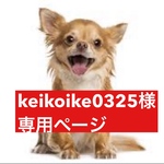 専用ページ