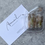 AirPods【オリーブ】ニュアンスデザインAirPodsケース　AirPods/AirPods  pro /AirPods3