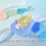 <大きなフィギュア>〜ホホベニモウミウシ〜受注販売