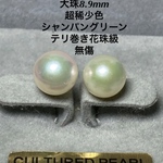 伊勢志摩 英虞湾産    あこや真珠　 8.9mm  シャンパングリーン