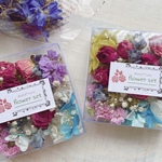 （最終）プリザ&ドライ　詰め合わせ　小分けセット4