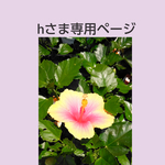単行本ブックカバー/街並み、木々