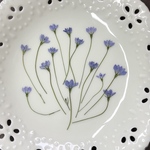 青の花(押し花)
