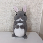 たちみみうさぎ　ぬいぐるみ　ネザーランドドワーフ　ブルー　グレー
