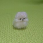 おちびポメラニアン  クリーム パピー　羊毛フェルト