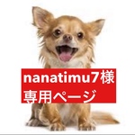 専用ページ