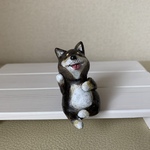 えんちょズ　黒柴くん