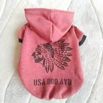 犬服！Msize！インデアン　完成品のみ