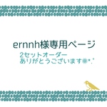 【ernnh様専用出品】