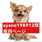 専用ページ