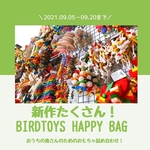 9/5 12:00販売開始【新作たくさん！Birdtoys Happy Bag🕊】おもちゃ