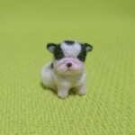 フレンチブルドック　パイド　パピー　 羊毛フェルト
