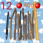 ①20g20本程度桑、新品、鳥デグーうさぎリス、フェレットかじり木、桑の木の乾燥小枝セット