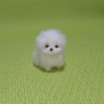 マルチーズ　パピー　 羊毛フェルト