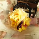 ＊*kazariya＊*Brightyellow‥。majic.。＊