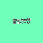 entachan様専用ページ