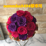 eammka3494様専用