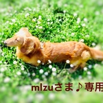 mlzuさま♪専用