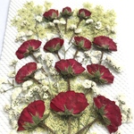 ミニバラとかすみ草の押し花