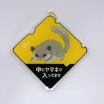 ヤマネ アクキー