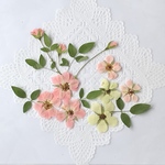 押し花＊ミニ薔薇
