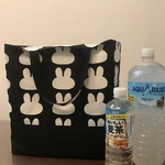 大きめ保冷バッグ