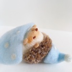 おやすみ🌙✨ハリー　🦔