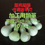 期間限定！摘みたてひょうたん１０個セット