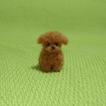 トイプードル　レッド　パピー　 羊毛フェルト