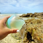 coral (blue) /ゆらゆら揺れるペアグラス320ml