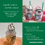 ハムペチーノ(ベビハリペチーノ)Sサイズセット