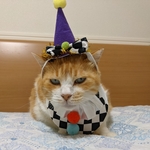 サーカスピエロ