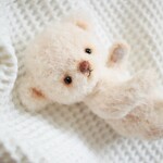 テディベア　淡いピンクの大福顔ベアちゃん　