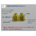 世界に一つだけ！◆◆耳票ピアス（小）【ロケット型】◆◆～カスタマイズ～