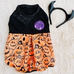 【コーギー服】ハロウィン🎃バルーンタンクトップ 
