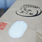 【新米 令和3年】栃木県産 コシヒカリ 5kg【送料もお得に】