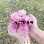 tmsr17様専用