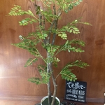 光触媒　人工観葉植物　ウォールグリーン　造花　インテリア　トネリコ120