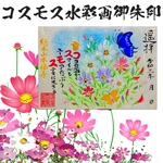 コスモス（秋桜）《手書き水彩画御朱印》【書置き】数量限定‼︎