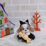 羊毛フェルト　ハロウィンシーズーちゃん