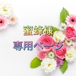 蜜蜂様専用ページ