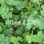 0392seiya さま専用