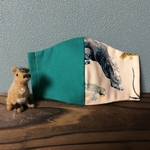 バイカラー  爬虫類大好き！　子ども用立体マスク(小学生向け) 男の子　幼稚園　保育園　小学生　エメラルドグリーン