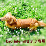 kaorialemilさま♪専用