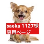 専用ページ