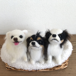 羊毛フェルト うちのこオーダー チワワちゃん 三姉妹専用