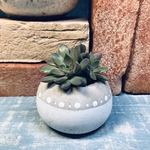 コロンと丸いプランター　植木鉢　キャンドルスタンド　ドット
