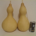 乾燥ひょうたん２本セット④28㎝と28㎝